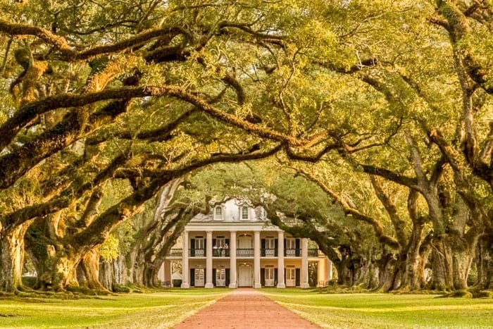 New Orleansista: Oak Alley Plantation Tour