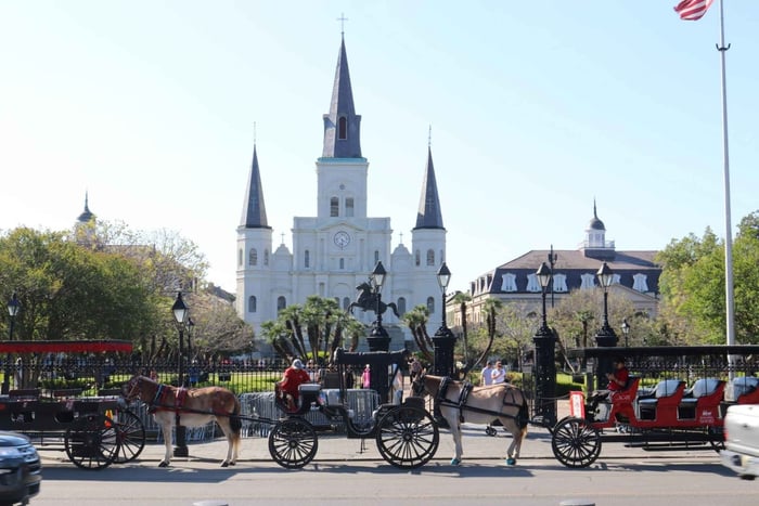 New Orleans: tour della città e del cimitero in autobus di 2 ore e 15 minuti