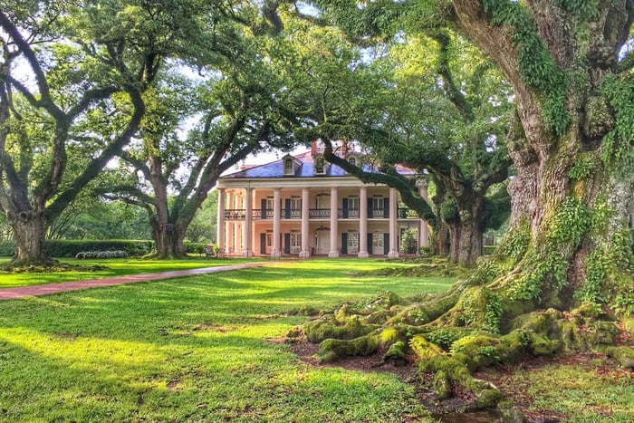 Nueva Orleans: Visita a la plantación Oak Alley con transporte