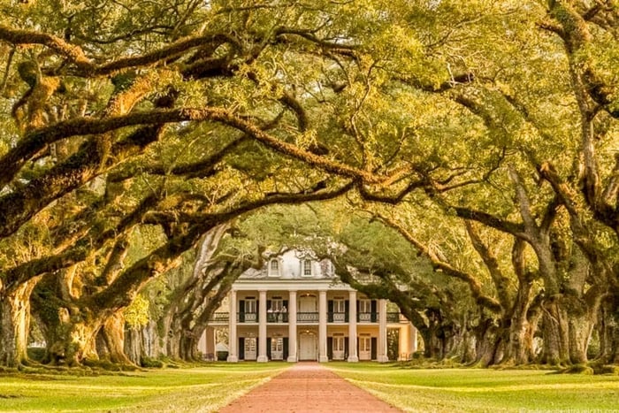Från Rundtur på Oak Alley Plantation