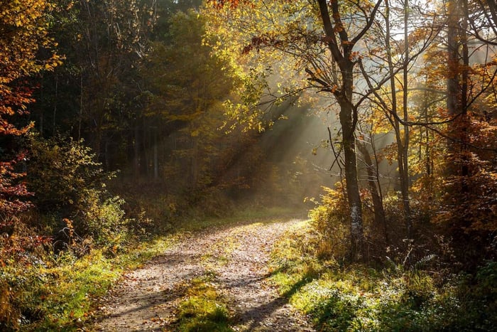 New Jersey: escursione guidata nella South Mountain Reservation
