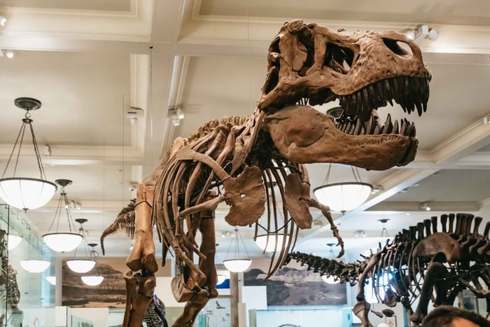 New York: American Museum of Natural History Ticket