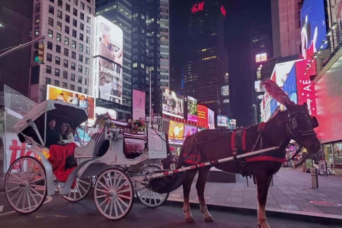 NYC: Central Park Weihnachtsbeleuchtung Pferdekutschenfahrt