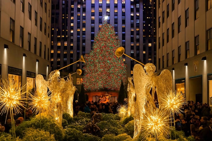 NYC: Paseo en Coche de Caballos con Luces de Navidad