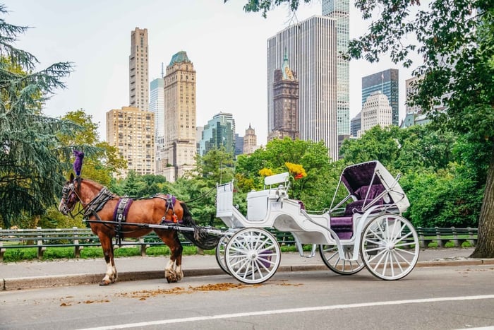 NYC: Guidet hestevognstur i Central Park