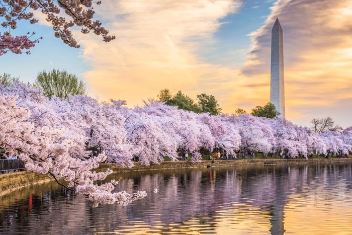 Excursión de un día a Washington DC en autobús desde Nueva York