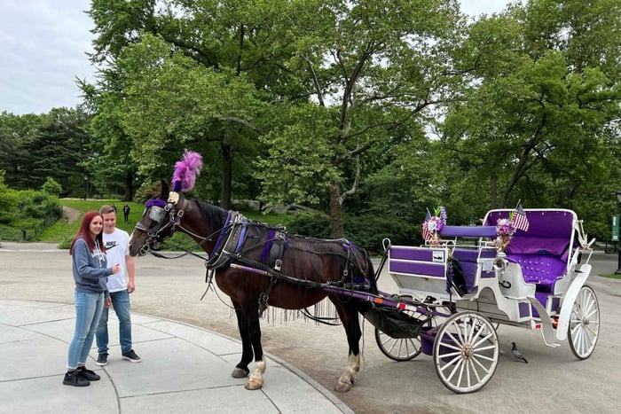 NYC: Privat hästvagnstur i Central Park med guide