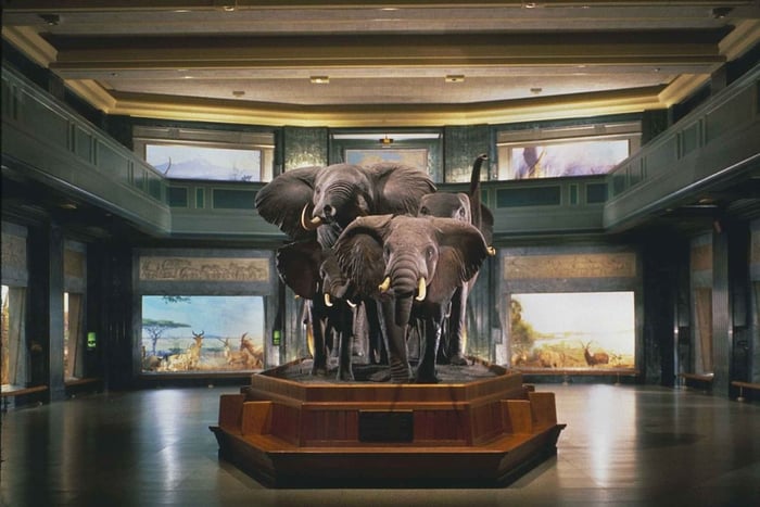 Ciudad de Nueva York Entrada al Museo Americano de Historia Natural
