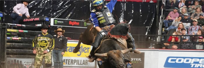 PBR: Slipp Løven Løs