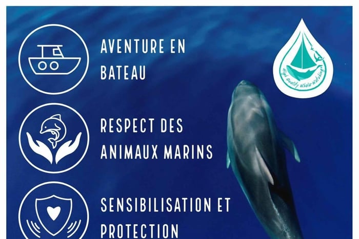 Marina Baie des Anges boat trip to the Pelagos Sanctuary