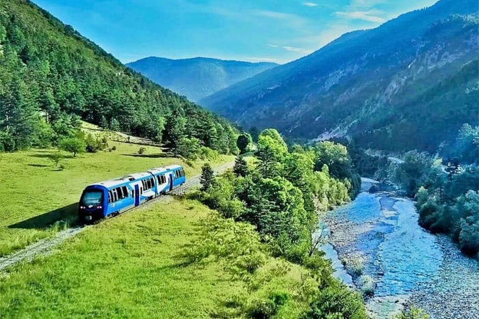 Erlebnis Bergbahn: Wanderung & Mystischer Wald (von Nizza aus)