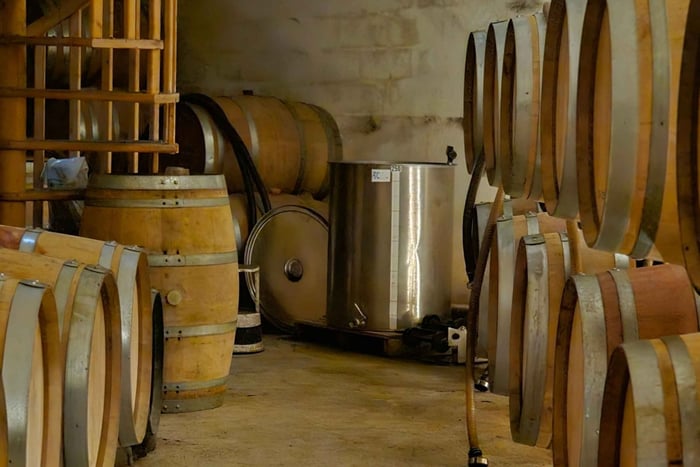 Niza y el interior: luz, arte y sabores locales