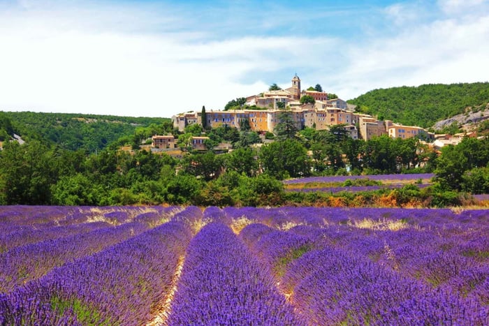 Nice to Grasse: French Riviera Perfume, Wine, and Food Tour