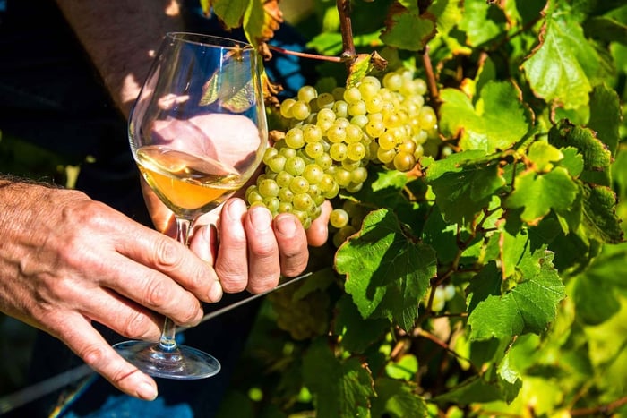 Provence Village Tour with Wine and Produce Tasting