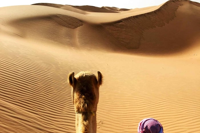 2 dni i 1 noc prywatna wycieczka na pustynię Wahiba Sands z Wadi