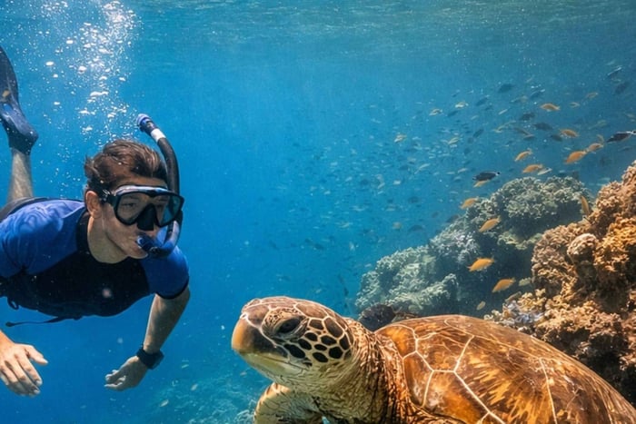 Al Mouj: Daymaniyat Islands Hidden Snorkeling Adventure