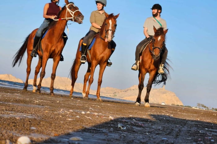 Al Sawadi Beach: Scenic Horseback Riding Experience in Oman
