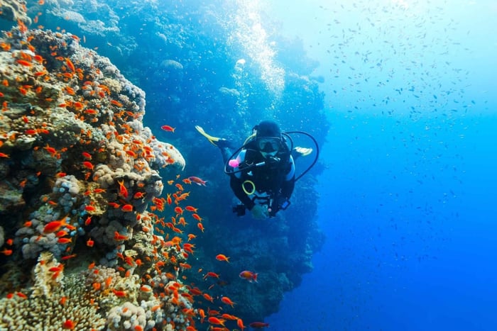Experiência de mergulho em Khasab