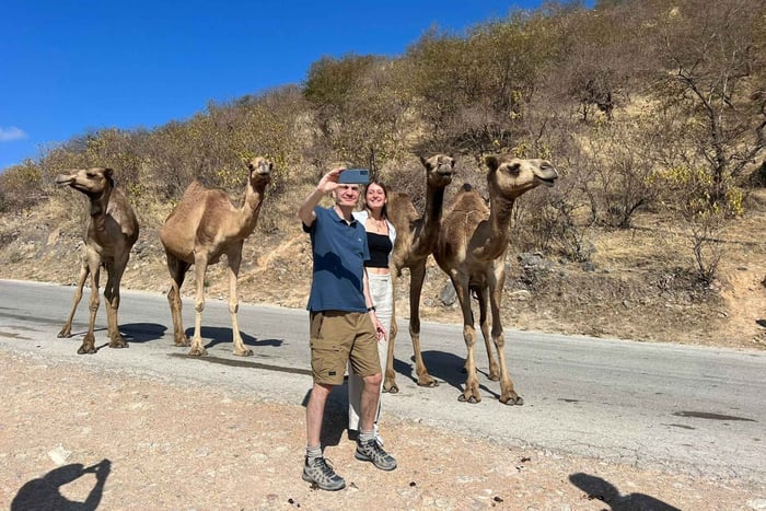 East of Salalah, Mountain, Camels, Waterfall, White beach