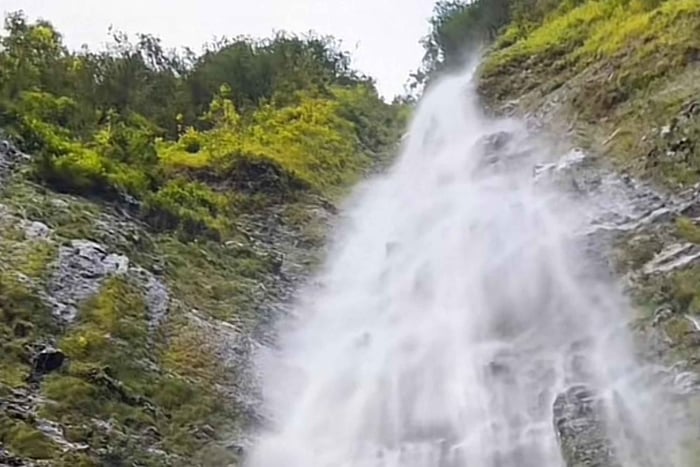Udforsk Salalah Wadi Darbat og Mount Samhan – Halvdagstur