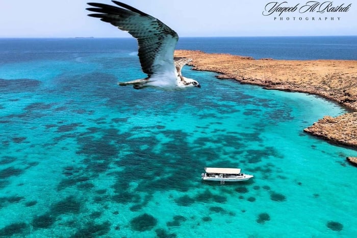 Da Al-Seeb: gita in barca alle isole Dimaniyat con snorkeling