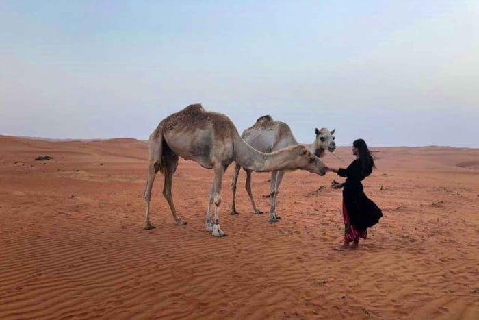 Från Muscat: 2 dagar, 1 natt i Wahiba Sands