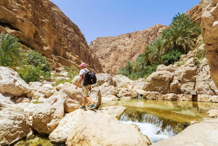 Da Mascate: gita di 1 giorno a Wadi Shab e Sur con giro in barca
