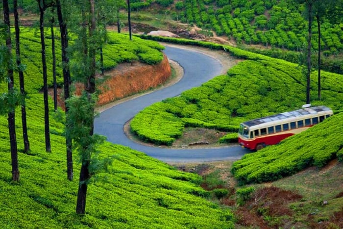 God's Own Country - KERALA (5 Days Private Trip) with Hotel