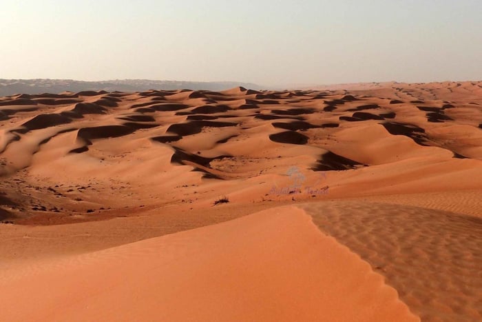 Magi under den gyllene timmen: Rub' Al Khali Desert Sunset Tour