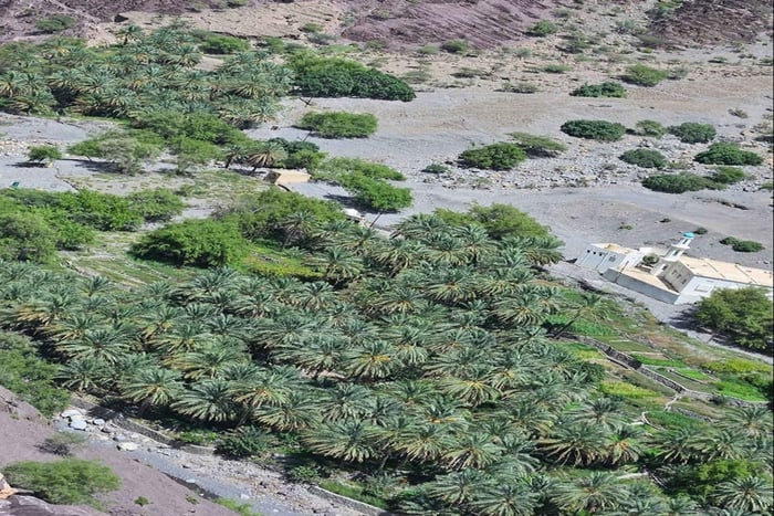 Begeleide bergtocht: Sayq-plateau en afdaling door de Wadi Muaydin