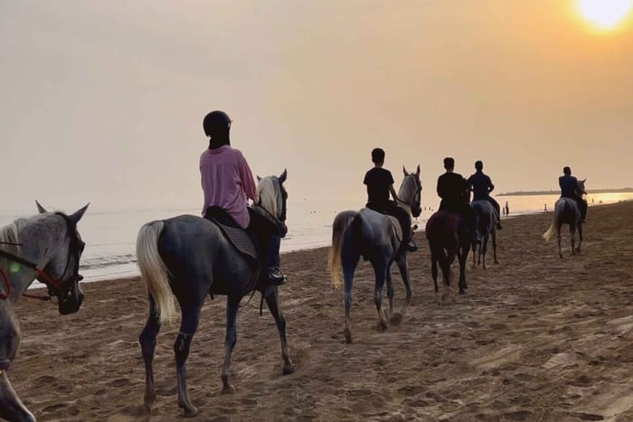 Horse riding in muscat beach