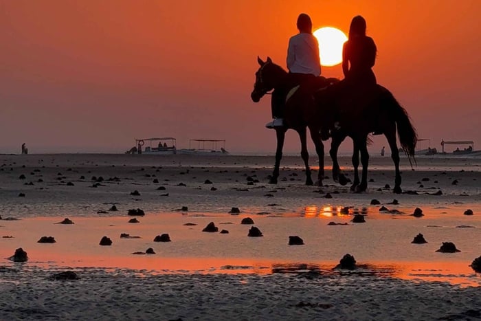 Paardrijden Muscat | Strand Paardrijden