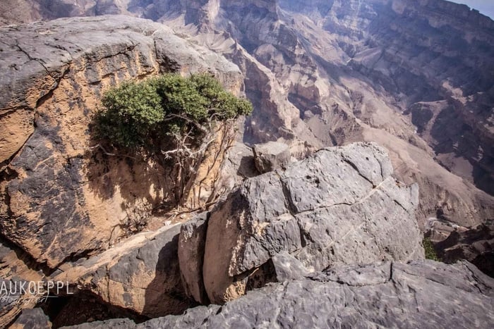 Jebel Shams (excursion d'une journée) 'Le Grand Canyon d'Oman' - 8 heures
