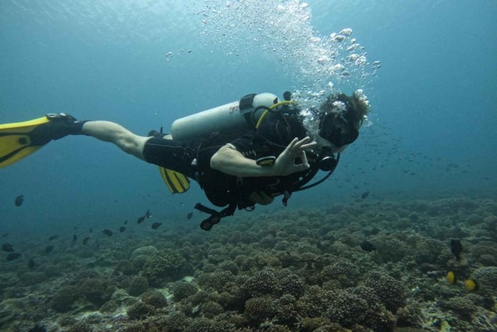 Mascate: immersioni subacquee per principianti alle Isole Daymaniat