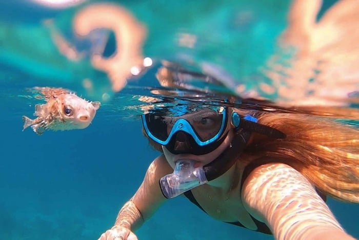 Muscat: Schnorcheltour zu den Daymaniyat-Inseln mit Schildkröten
