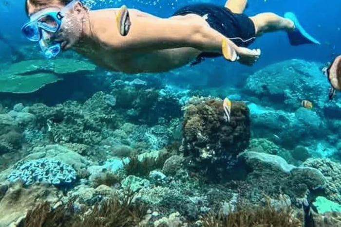 Muscat: Daymaniyat-eilanden snorkelen met schildpadden en ophalen