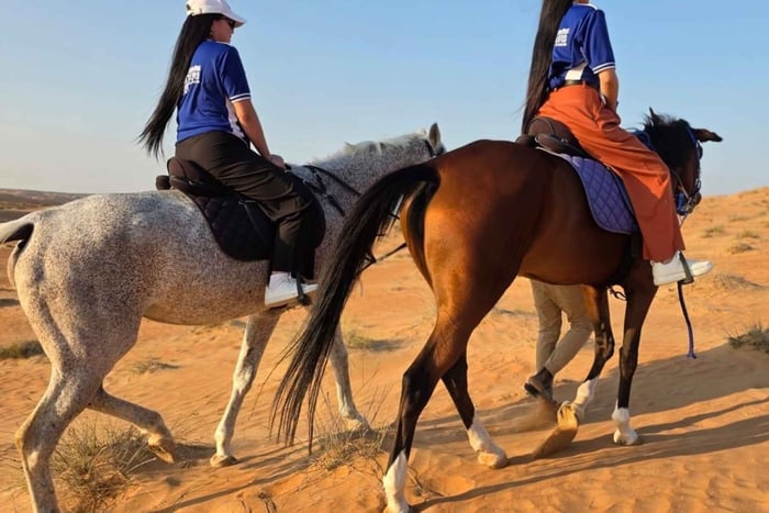 Mascate: tour del desierto al atardecer con paseo a caballo y a camello