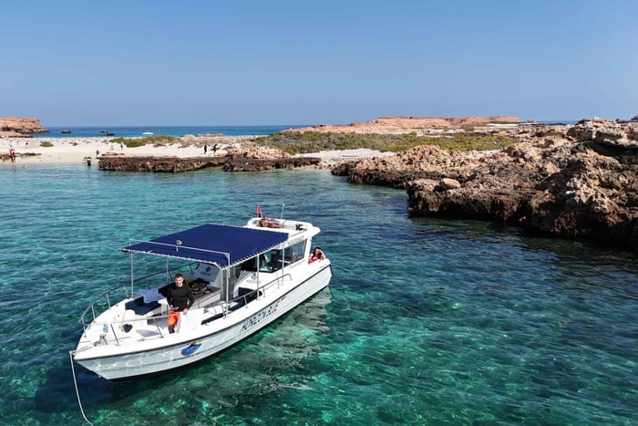 Muscat: Dolphin Watching and Snorkeling Boat Trip with Lunch
