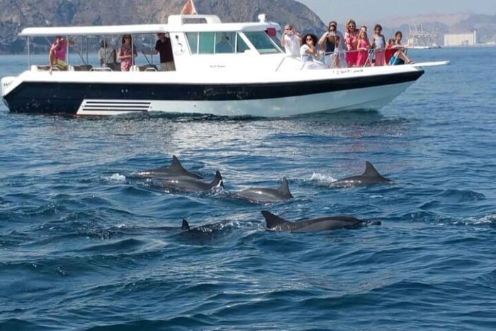 Observation des dauphins à Mascate et visite touristique de la côte