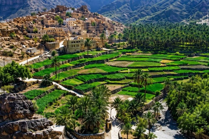 Muscat: Todagers tur til Jebel Shams og Nizwa