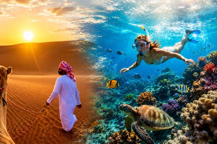 Mascate : excursion de snorkeling et coucher de soleil dans le désert des Wahiba Sands