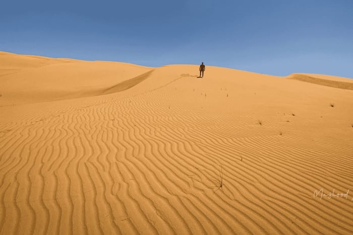 Muscat: Wahiba Sands-ørkenen og Wadi Bani Khalid - heldagstur