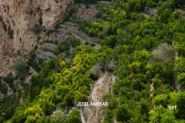 Nizwa, Jebel Akhdar: Green Mountain Tour