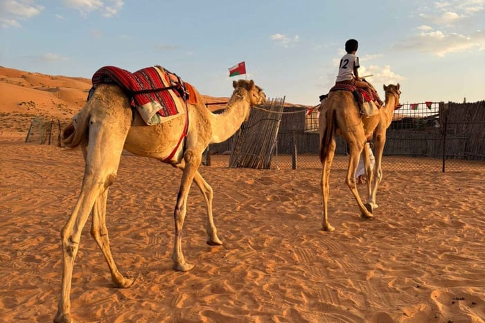 Oman: 4-Day Wadi, Sur, Desert, Nizwa & Muscat Tour