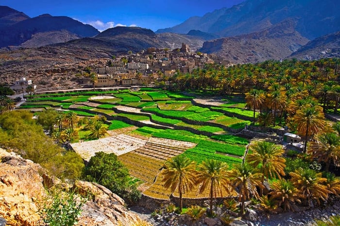 Oman: Wycieczka 1-dniowa z Muscat do Bilad Sayt 4WD