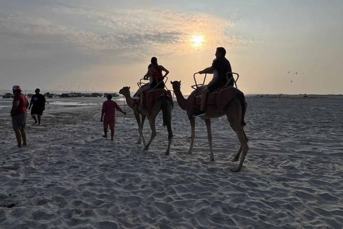 Salalah: Camel Riding on the Beach