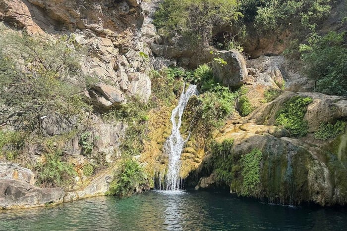 Salalah: Excursão Guiada por Trilhas de 1 Dia com Almoço