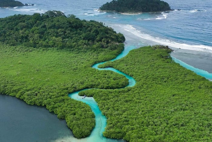 Fra Panama City: Sightseeingtur i Karibia + Portobelo + Mangrover og strender