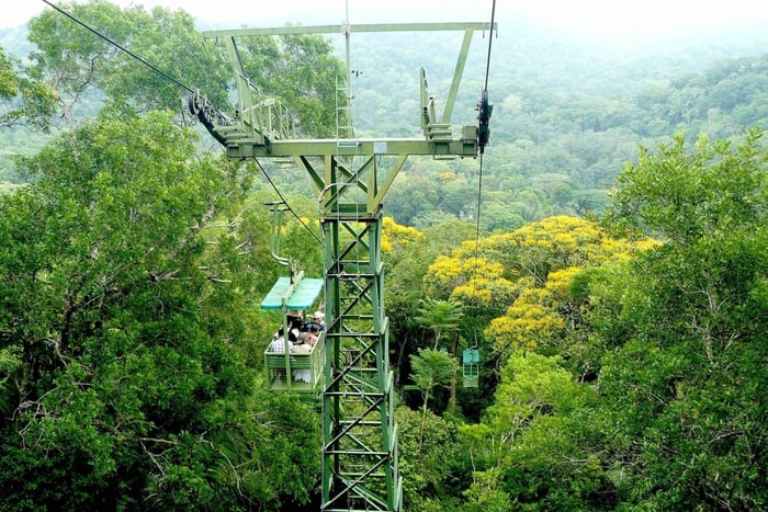 Från Panama City: Gamboa Rainforest Guidad tur med lunch
