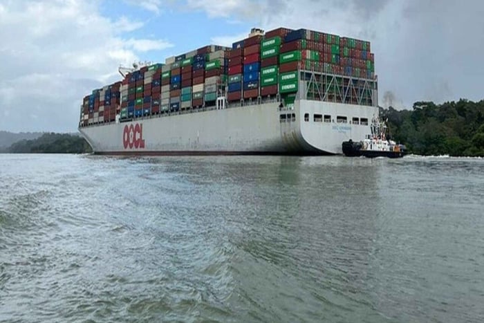 Cidade do Panamá: Floresta Tropical de Gamboa, Santuário de Preguiças e Excursão de Barco